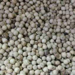 崗椒廠家 批發商 價格表